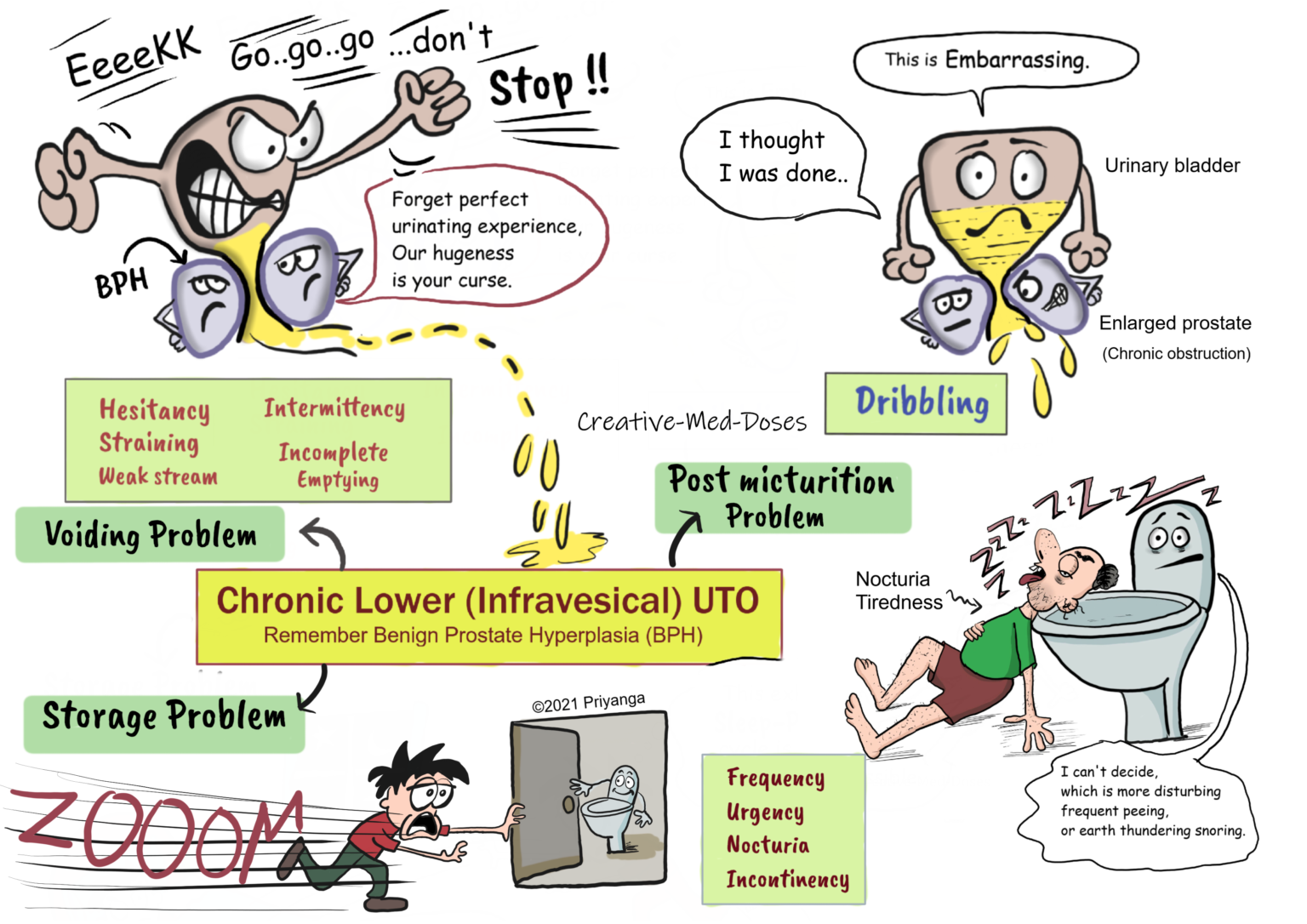 Lower urinary tract obstruction: clinical features - Creative Med Doses