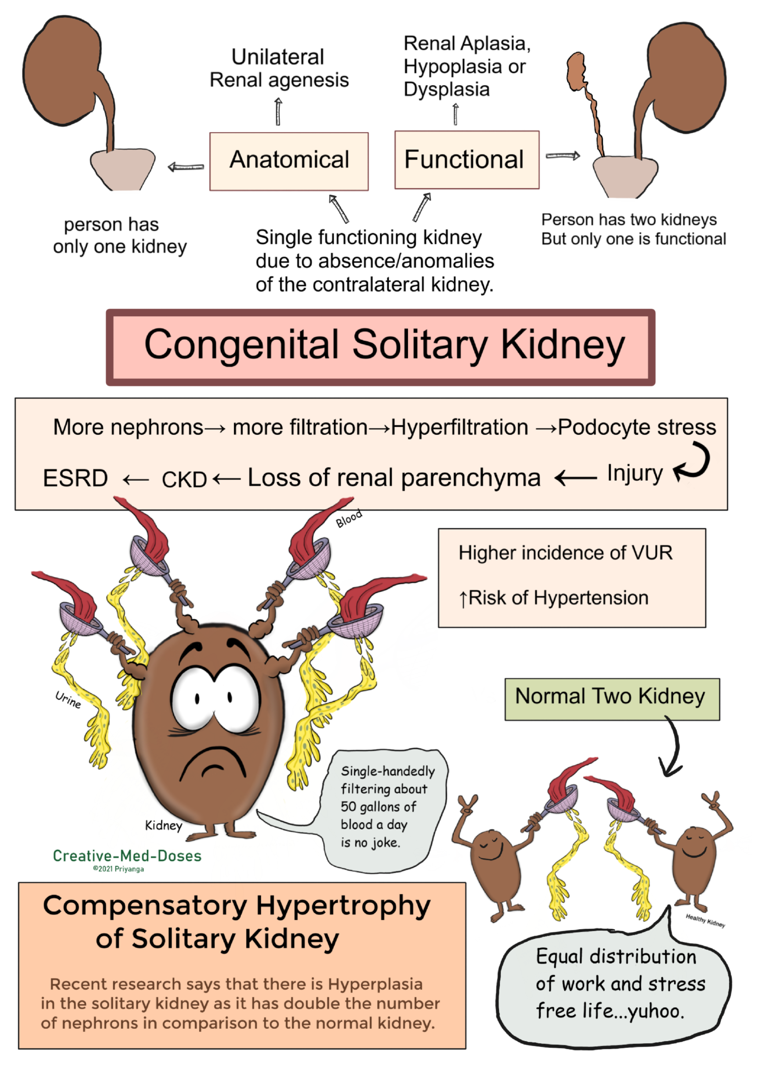 Congenital Solitary Kidney