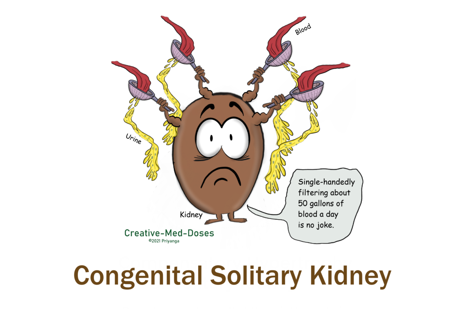Congenital Solitary Kidney introduction slide