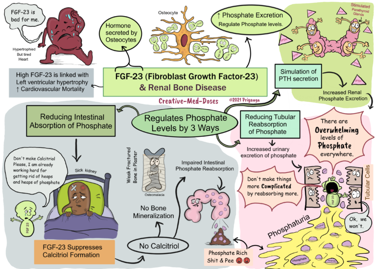 Home - Creative Med Doses