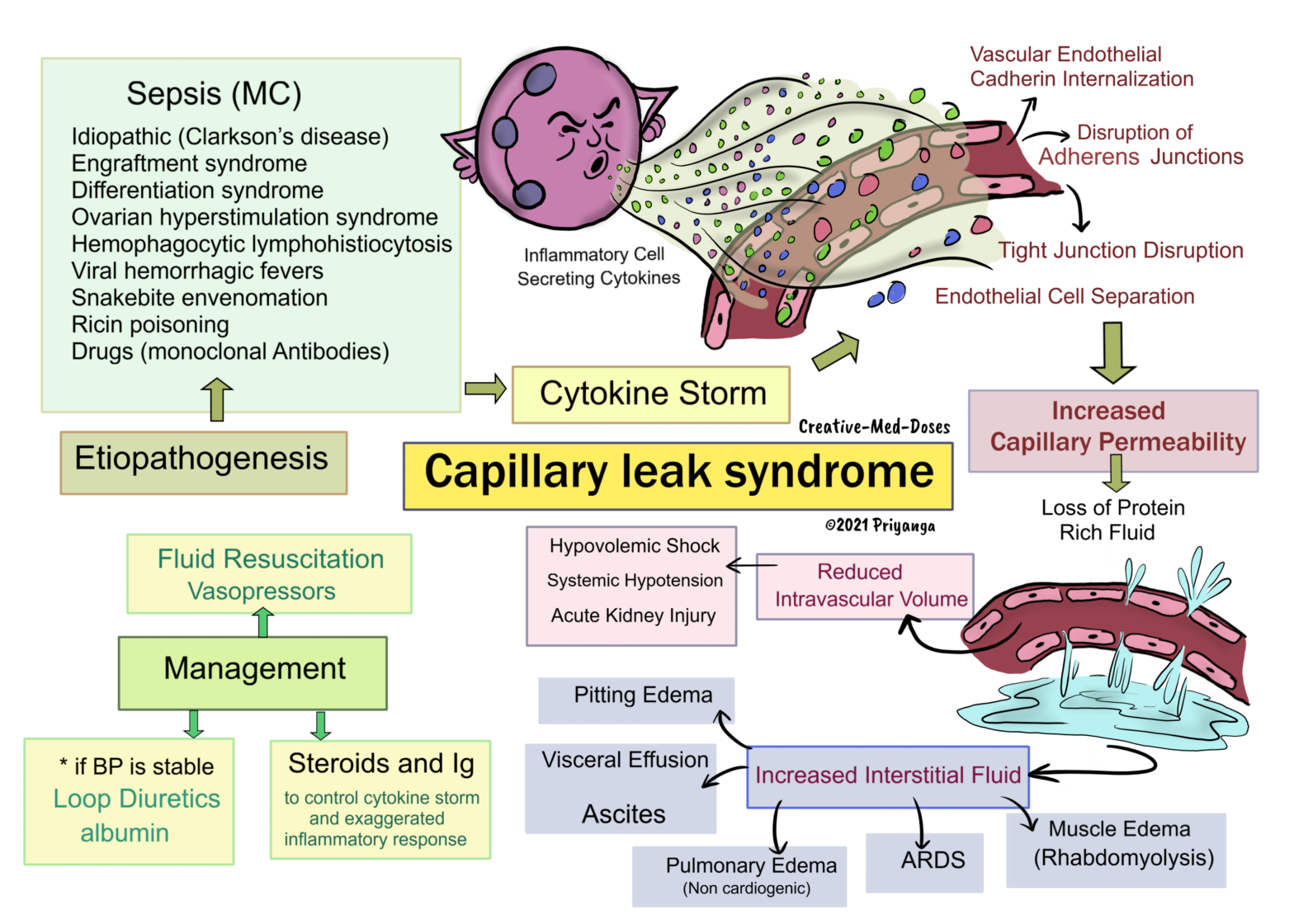 Capillary leak syndrome что это