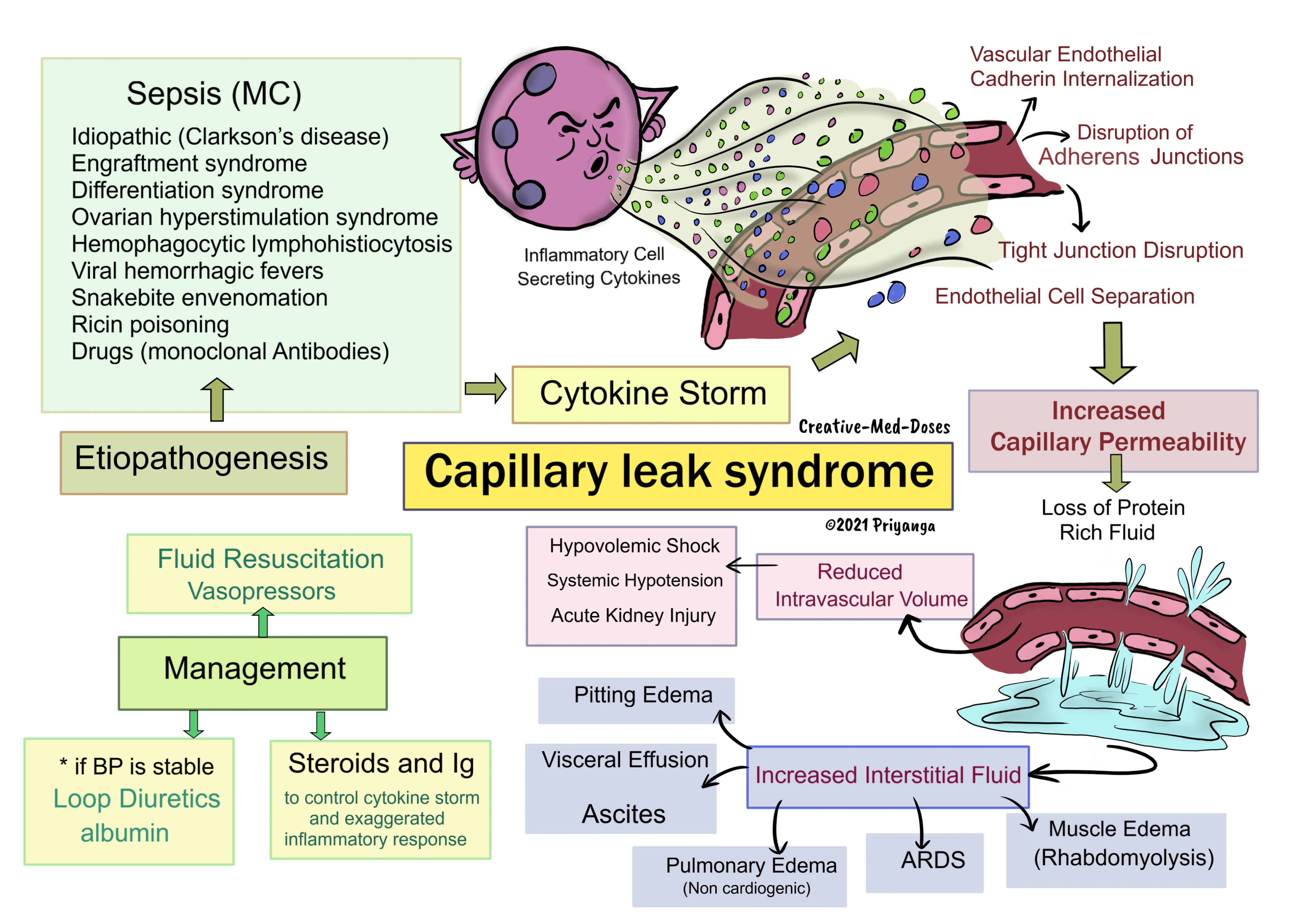 Capillary Leak Syndrome: etiopathogenesis 