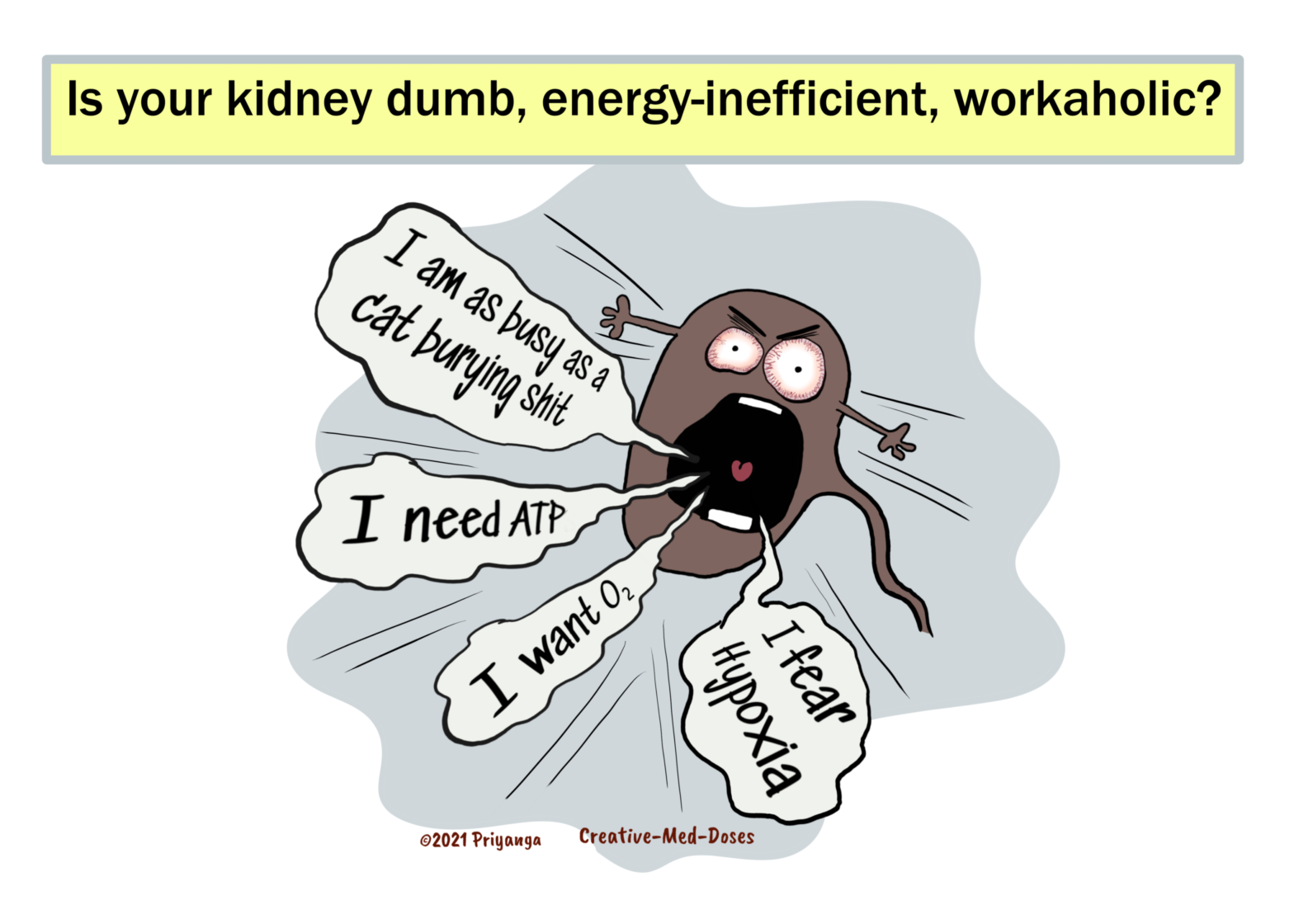 Kidney energetically inefficient waste disposal system