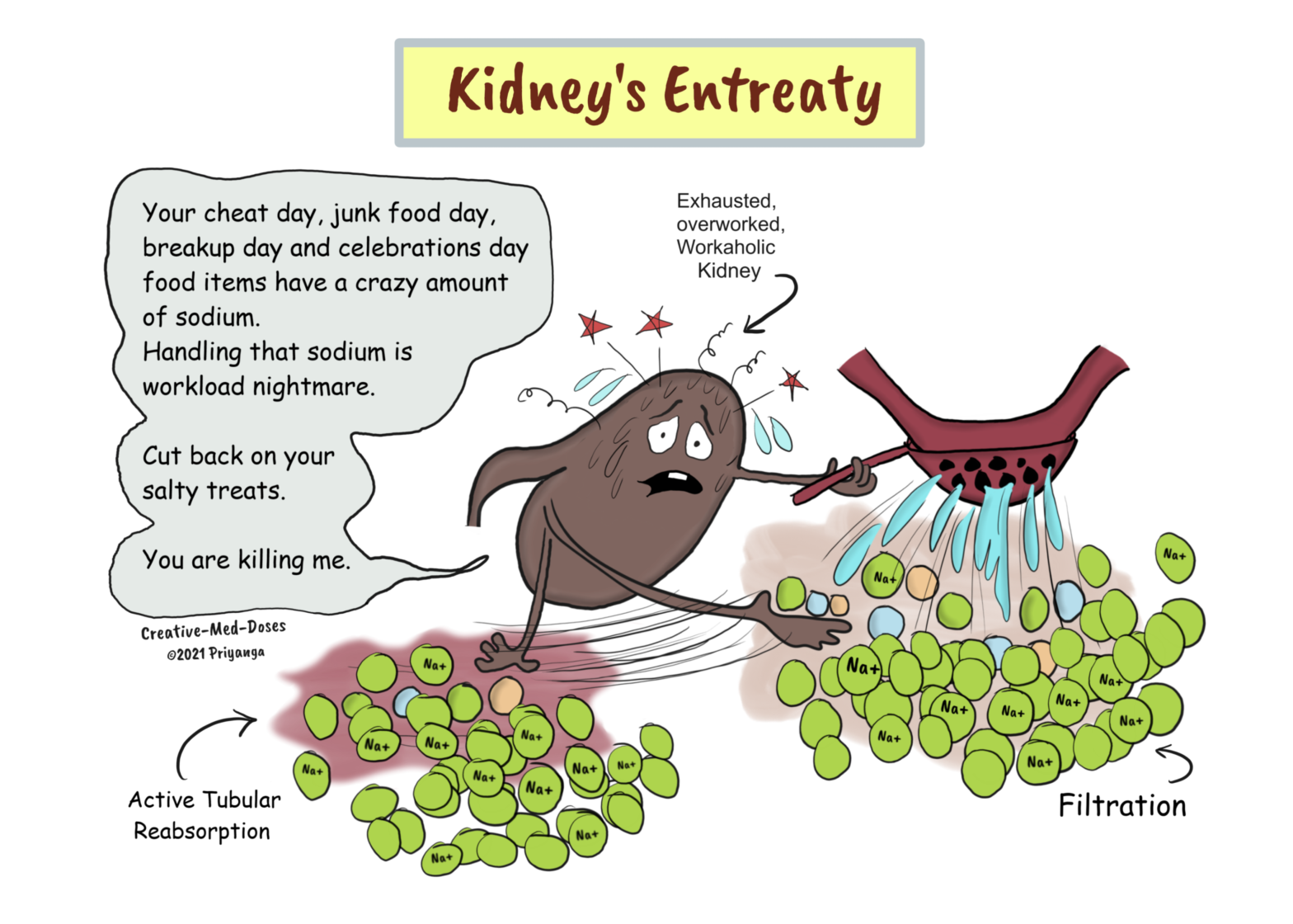 Kidney: The dumb, energy-inefficient, workaholic - Creative Med Doses