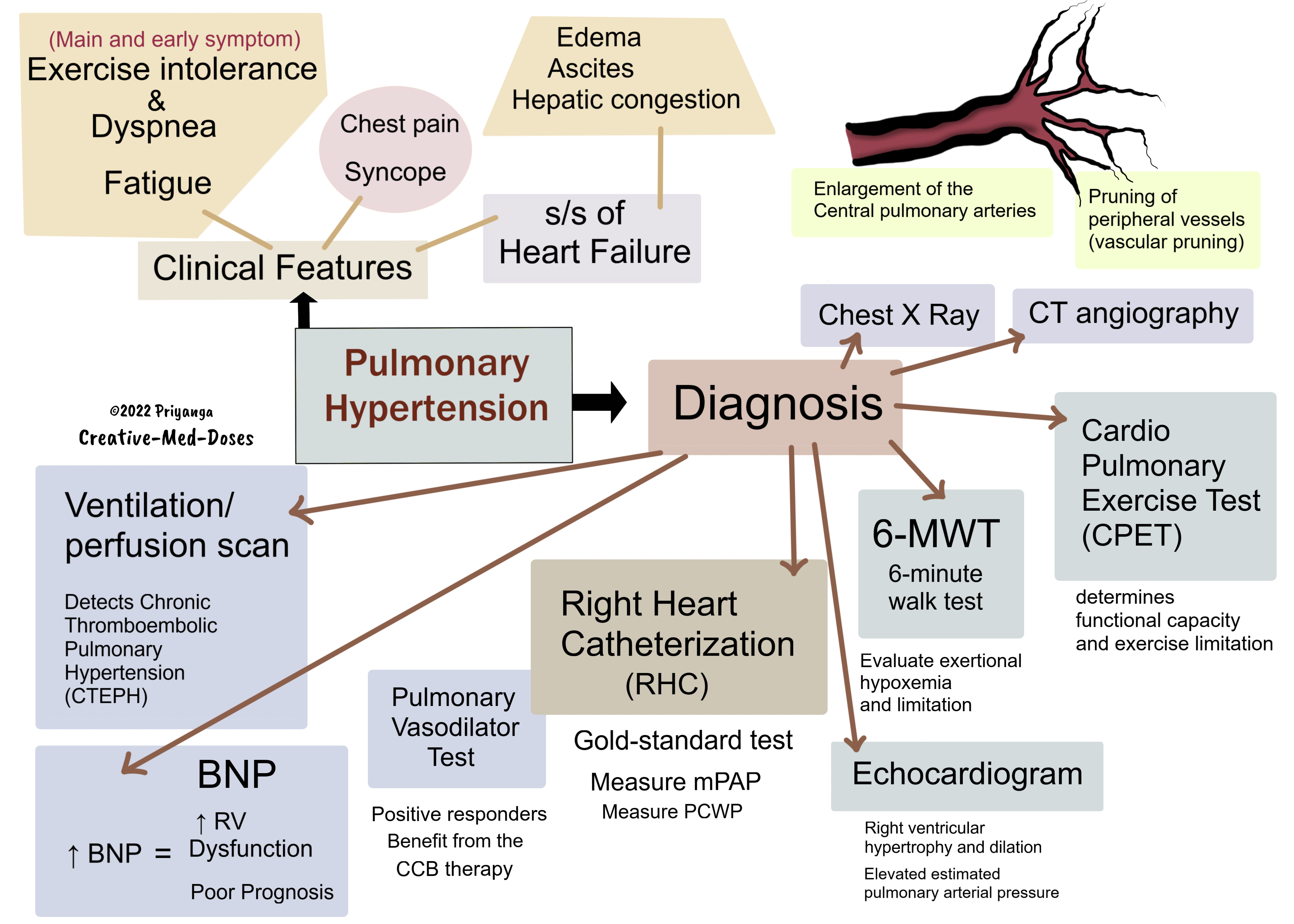 Pulmonary Hypertension: Diagnosis and Clinical Features 