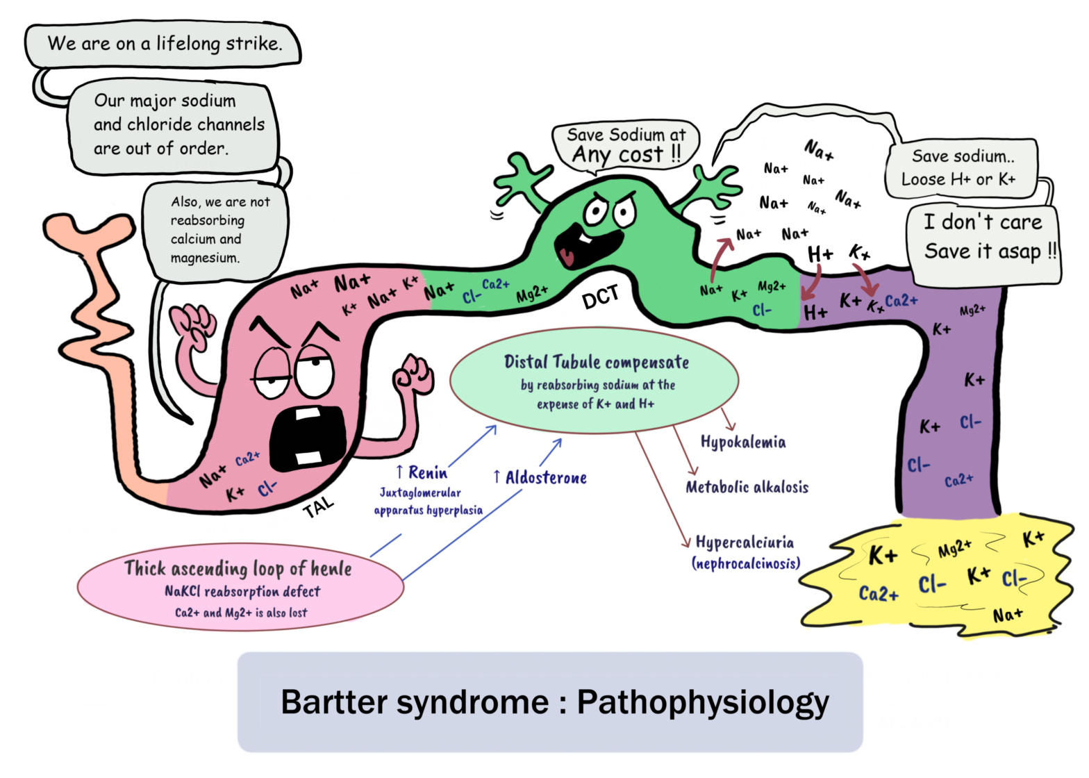 Bartter Syndrome : Pathophysiology
