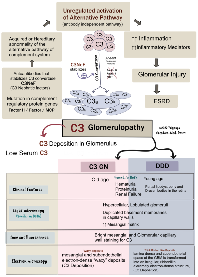 C3 Glomerulopathy - Creative Med Doses