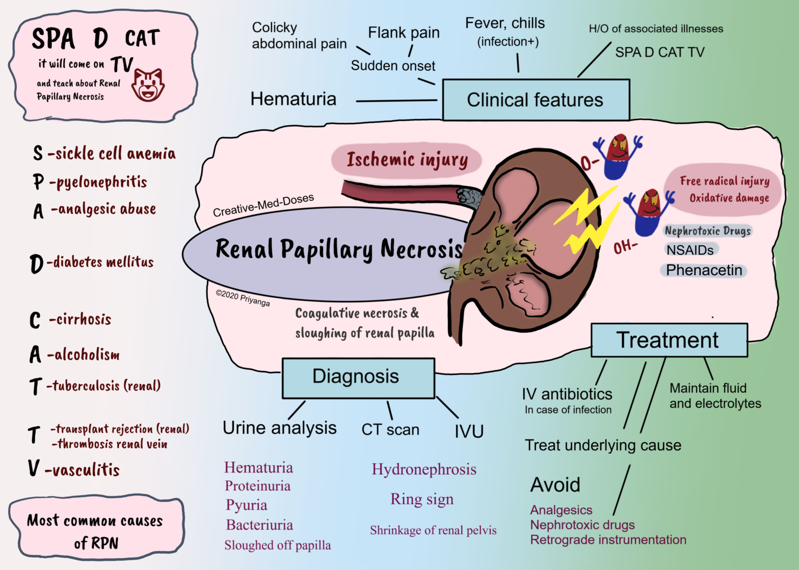 Renal Papillary Necrosis (RPN)