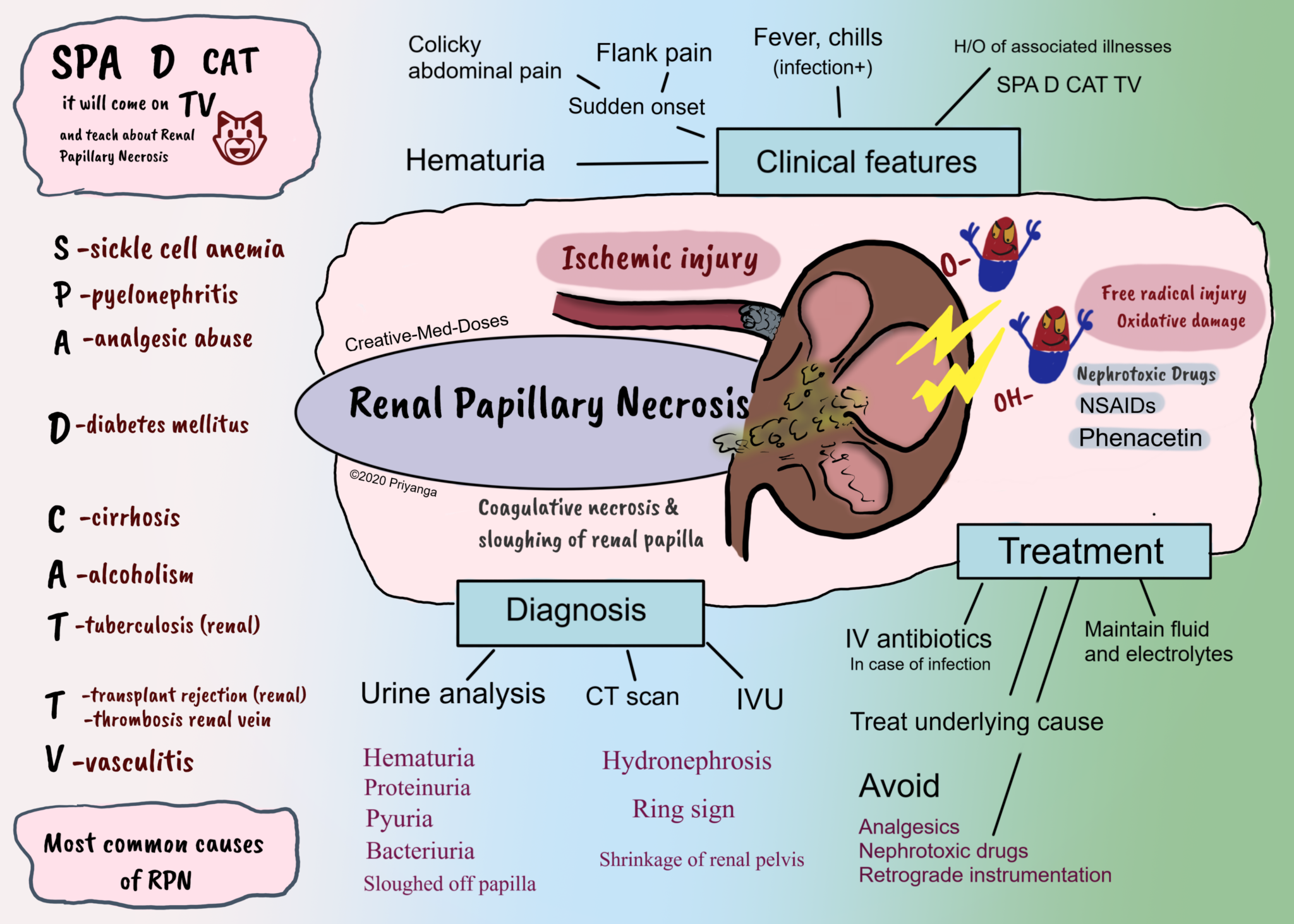 Renal Papillary Necrosis RPN Creative Med Doses