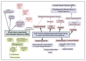 Multiple Myeloma Associated Renal Injury - Creative Med Doses