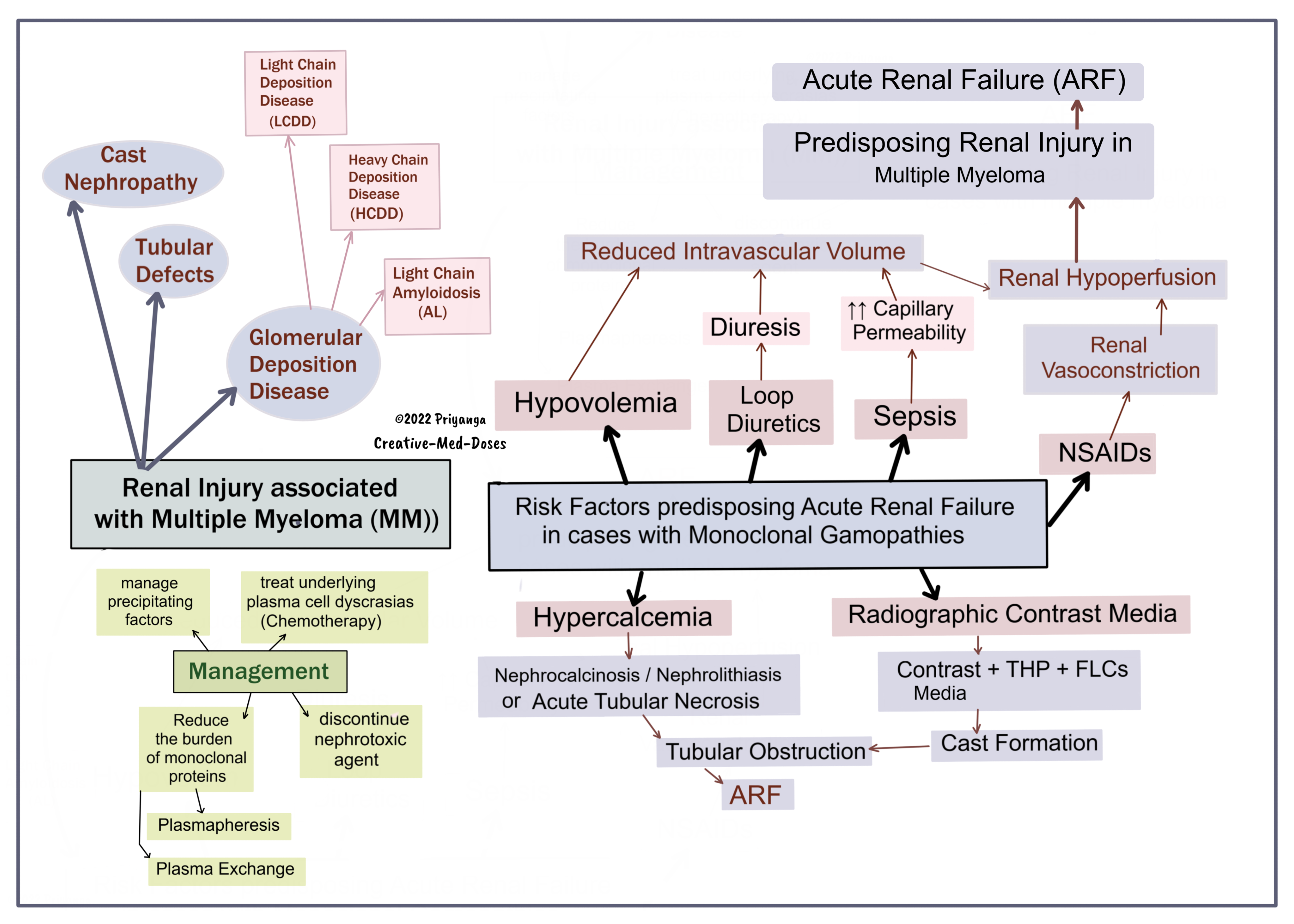 Multiple Myeloma associated renal injury: visual map 