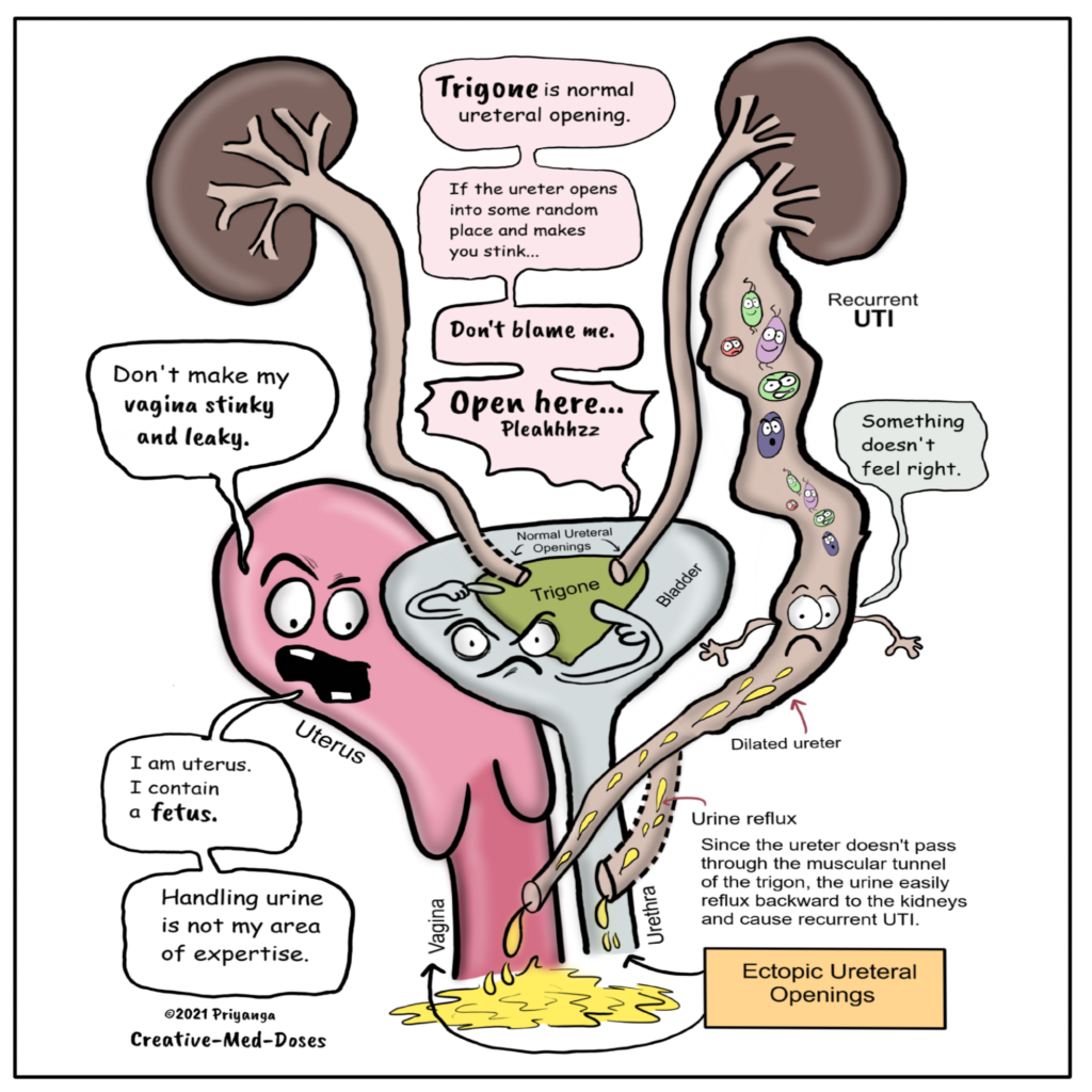 Home - Creative Med Doses