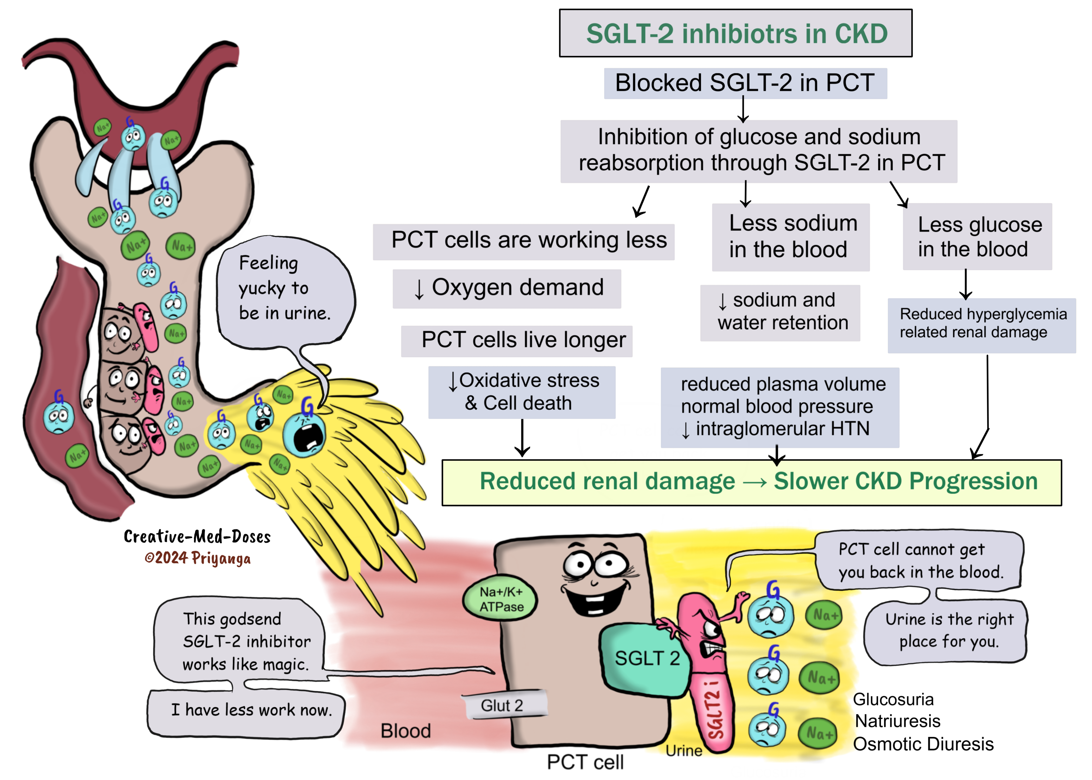 Sodium-glucose cotransporter-2 inhibitors 